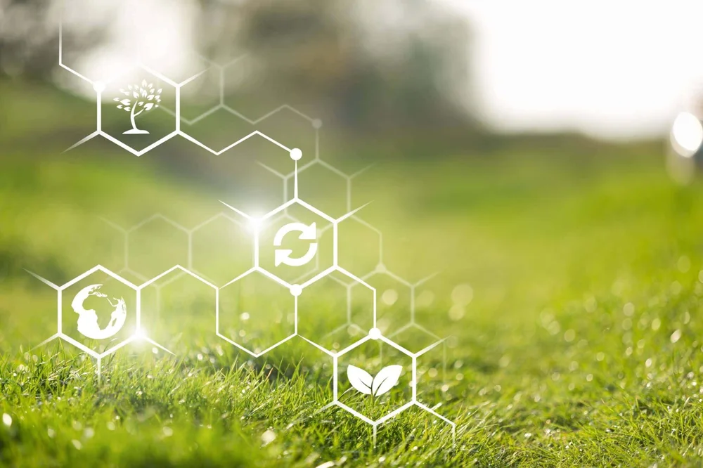 Über uns 5 Arti Decorative Produkte sind nachhaltig und umweltfreundlich